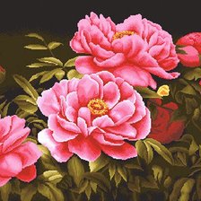 Схема вышивки «Пионы»