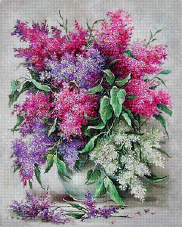 сиреневое чудо - сирень, букет, белые цветы, лиловые цветы - предпросмотр