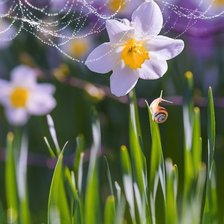 Схема вышивки «Улиточка»