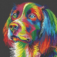 Радужная собака