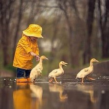 Схема вышивки «гуси-лебеди»