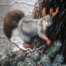 Схема вышивки «белка»