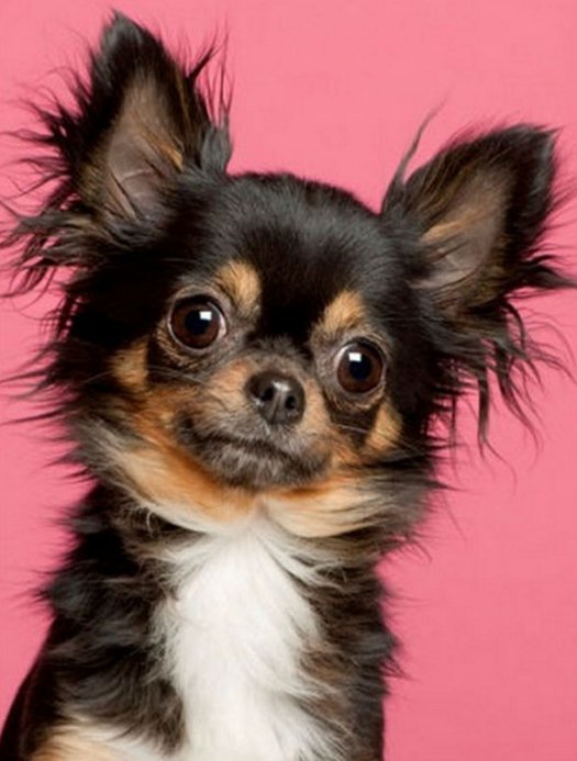 №1159528 - оригинал