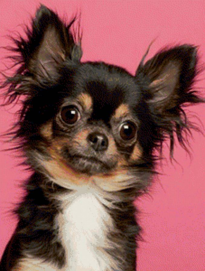 №1159528 - предпросмотр