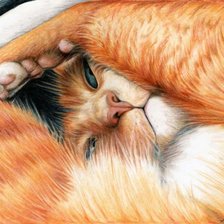 Схема вышивки «животные»