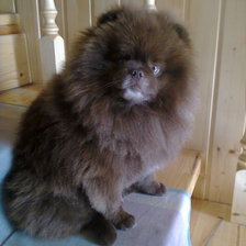 Схема вышивки «шоня»