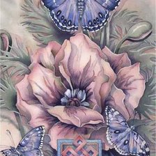 Схема вышивки «бабочки нежности»