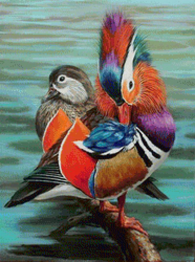 мандаринки - предпросмотр