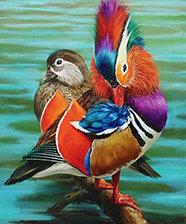 Схема вышивки «мандаринки»