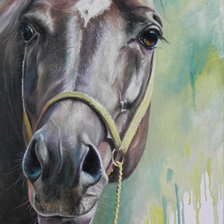 Схема вышивки «Лошадь (Юлия Неприятель)»