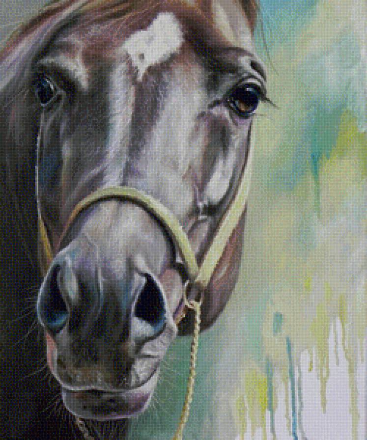 лошадь - юлия неприятель, конь, лошадь - предпросмотр