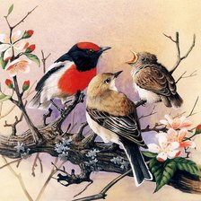 Схема вышивки «пташки»