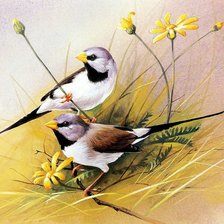 Схема вышивки «птички»