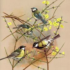 Схема вышивки «синички»