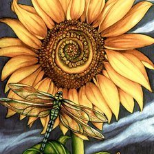 Схема вышивки «Стрекоза на подсолнухе»