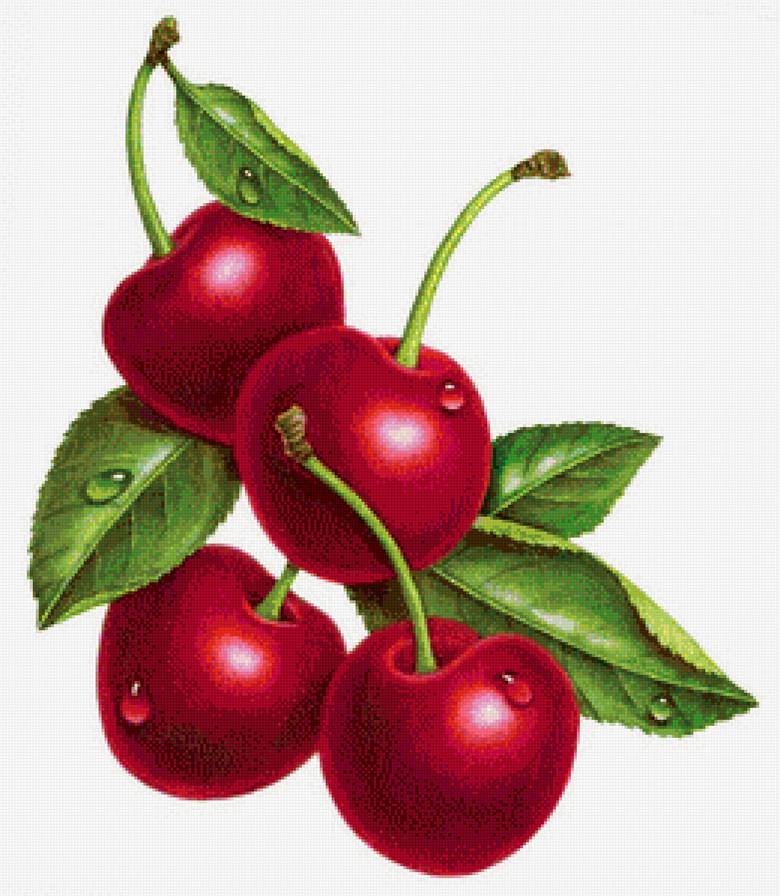 Вишенки - ягоды, вишня, для кухни - предпросмотр