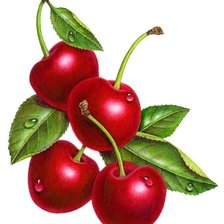 Схема вышивки «Вишенки»