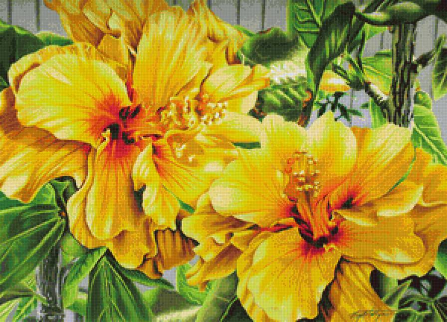 Желтые цветы - живопись, желтые цветы, цветы, букет - предпросмотр