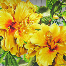 Схема вышивки «Желтые цветы»