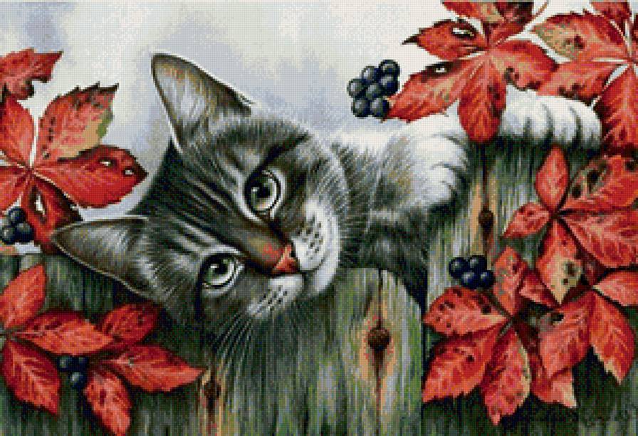 котяра - предпросмотр