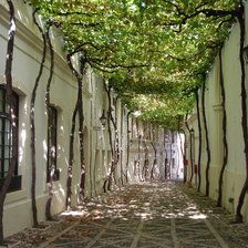 Схема вышивки «коридор»