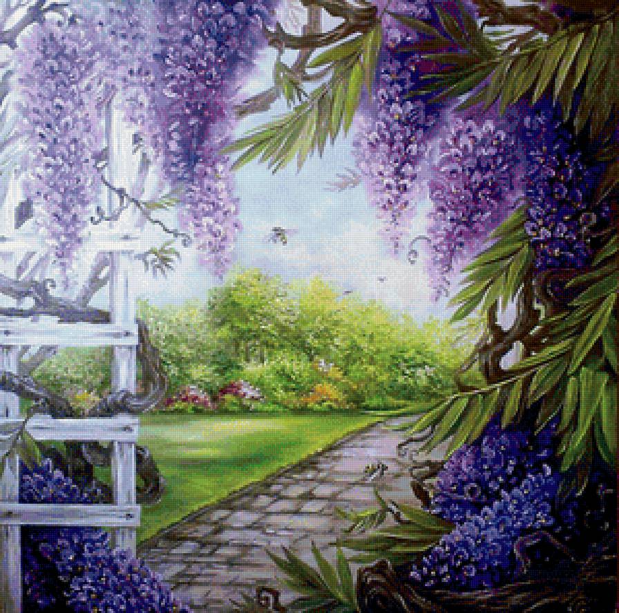 цветущая глициния - пейзаж, лето, лиловые цветы, глициния - предпросмотр