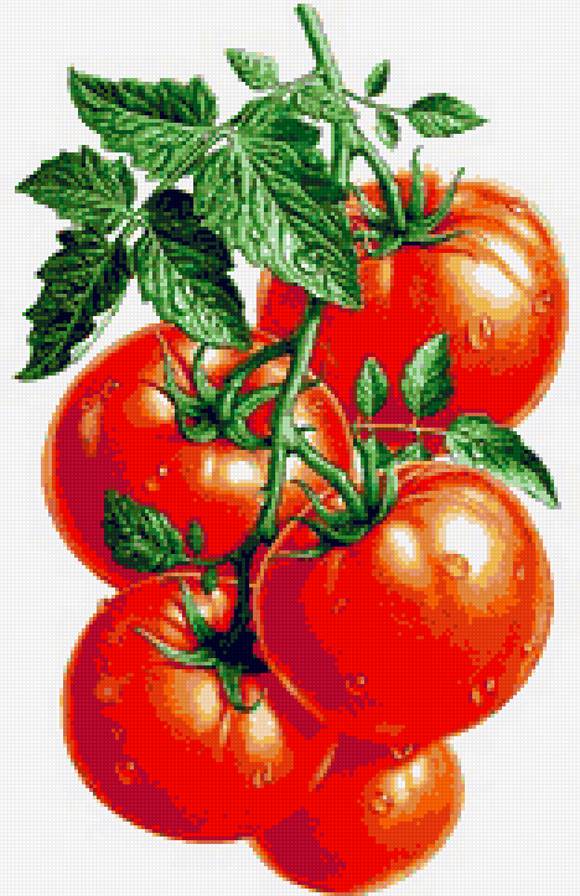 los tomates - предпросмотр