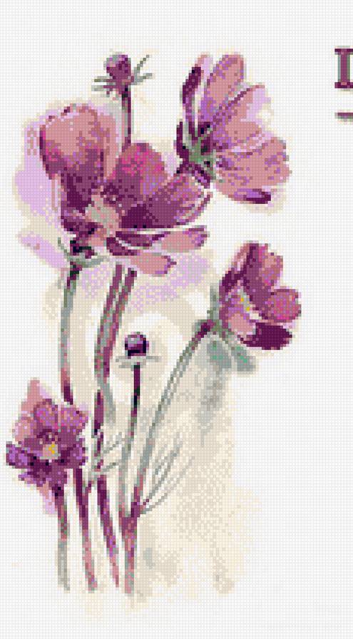 Flowers - предпросмотр