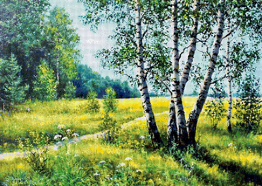 березки - лето, природа, лес - предпросмотр