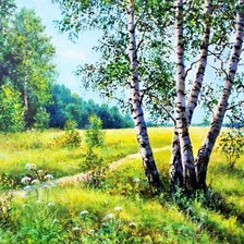 Схема вышивки «березки»