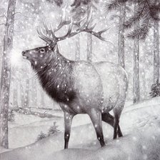 Схема вышивки «№1161988»