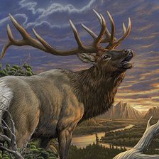 Схема вышивки «№1162012»