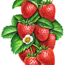 Схема вышивки «Аппетитная клубничка»