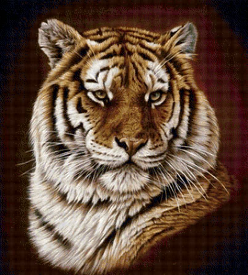 тигр - тигр, животные, кошачьи - предпросмотр