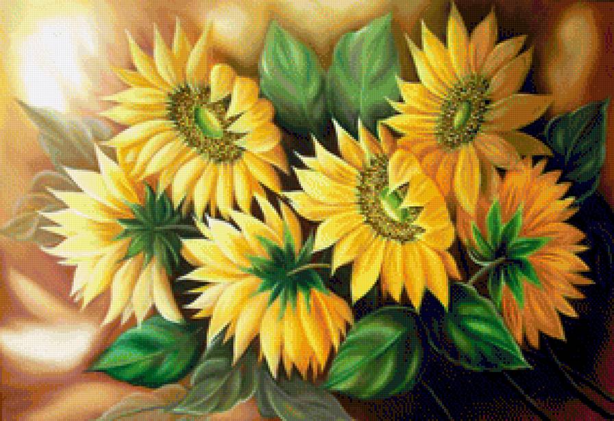 Подсолнухи - букет, цветок, цветы, подсолнух - предпросмотр