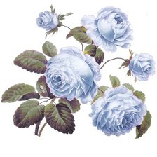 Схема вышивки «№1163058»