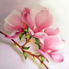 Схема вышивки «Магнолия»