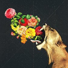 Схема вышивки «Line_Lucis»