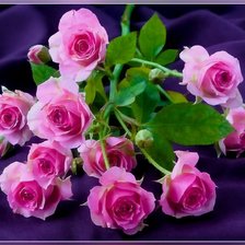 Схема вышивки «цветы»