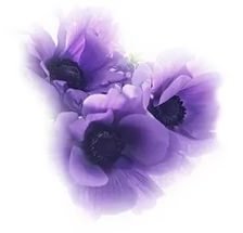 Схема вышивки «три сиреневых цветка»