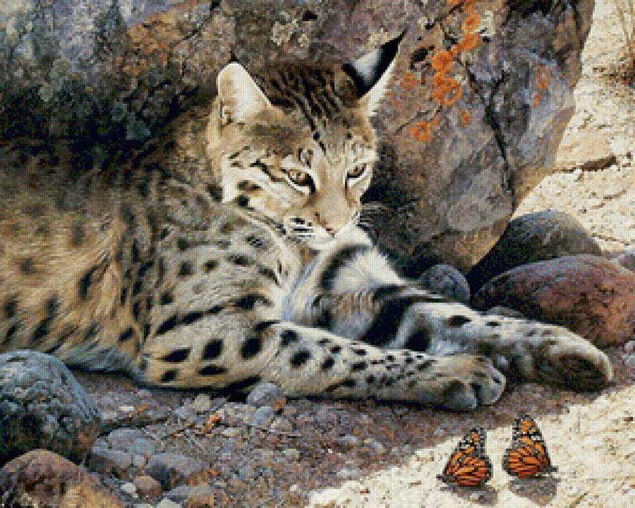 дикая природа - природа, звери - предпросмотр