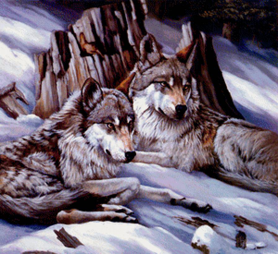 волки - природа, волки, звери - предпросмотр