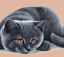 Схема вышивки «№1163757»