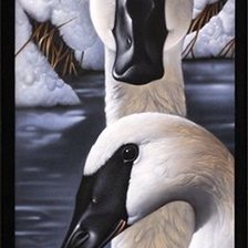 Схема вышивки «№1164093»