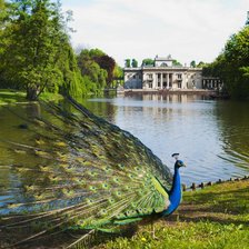 Схема вышивки «парк Лазенки Королевские в Варшаве»