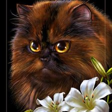 Схема вышивки «милее кошки - зверя нет»