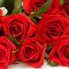 Схема вышивки «розы»