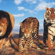 Схема вышивки «звери»