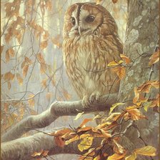 Схема вышивки «совушка»