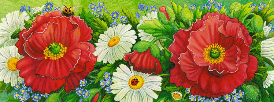 маки и ромашки - оригинал